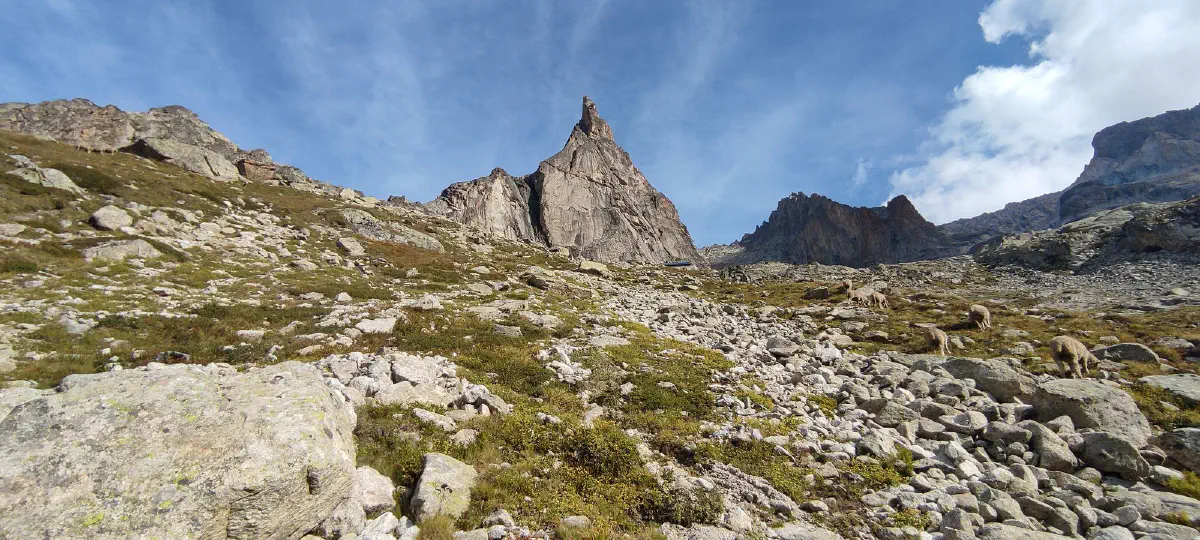 Photo de l'Aiguille Dibona et de son environnement